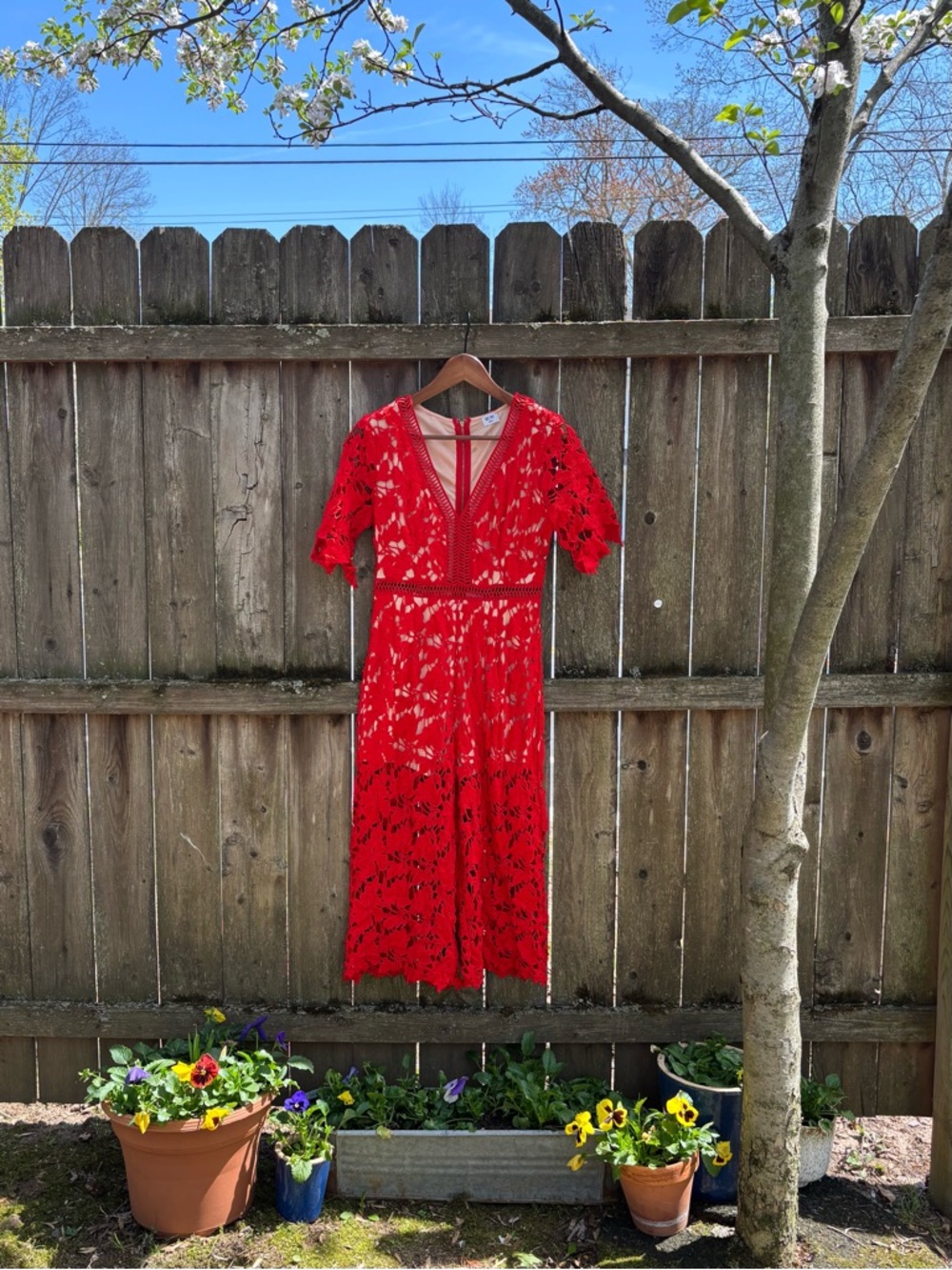 Renvy Red Lace Jumpsuit